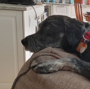 Meet your Posher, Barbara